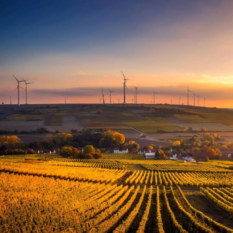 Abendliche Aussicht auf Weinberge symbolisiert Wachstum und Entwicklung